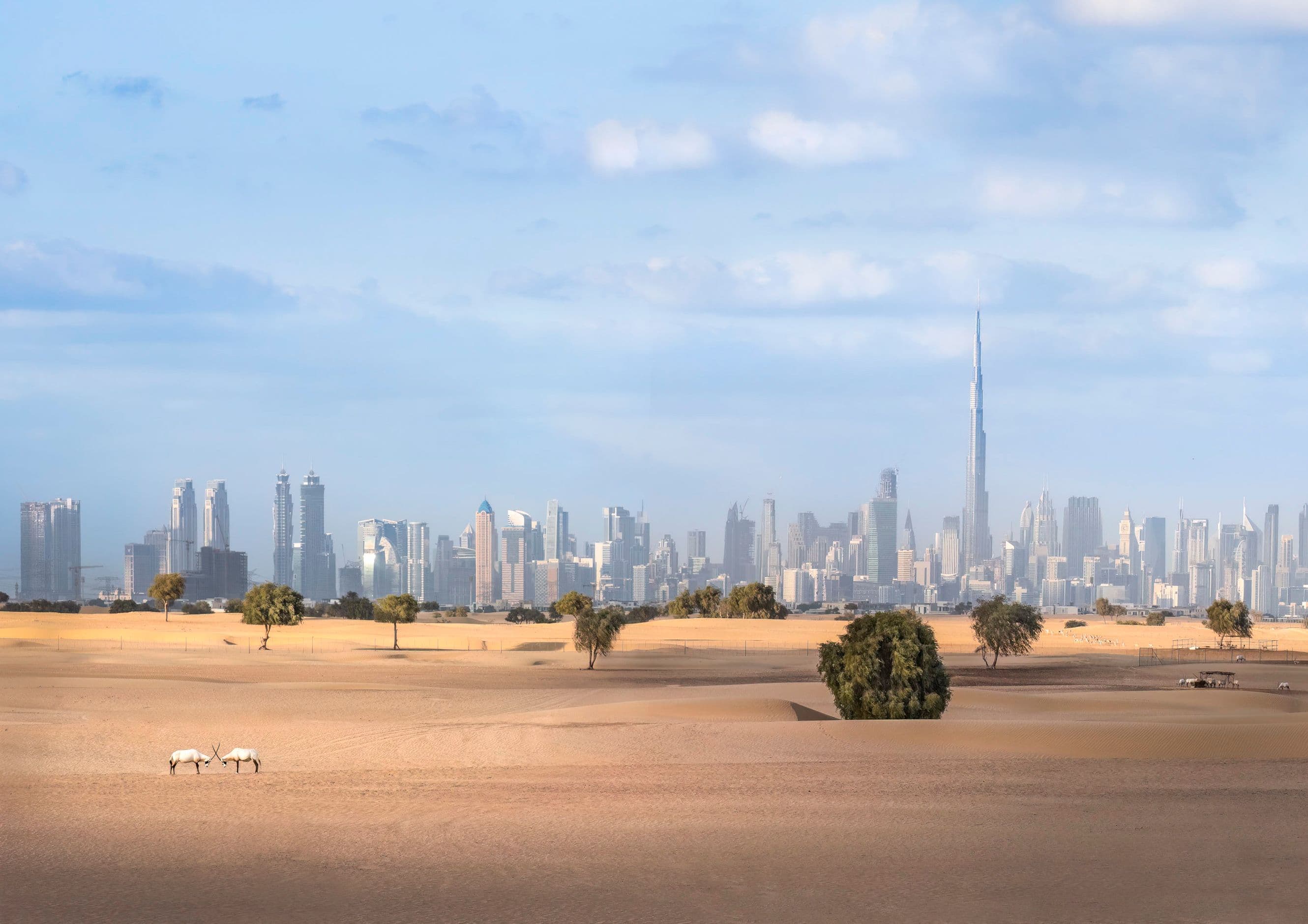 800 Speedy tyre service in Arabian Ranches, Dubai